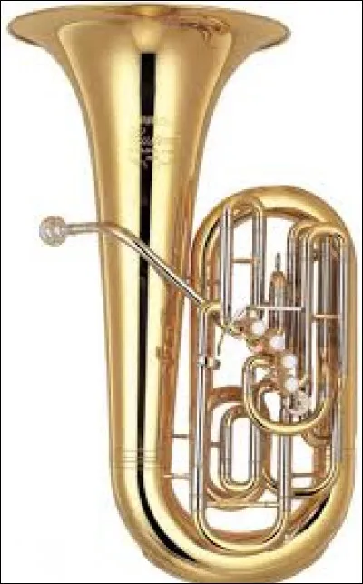 Il peut servir pour respirer dans l'eau, mais c'est aussi un instrument de musique qu'on appelle...