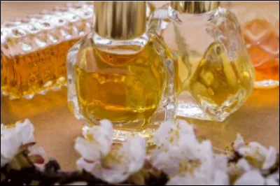 Les débouchés ne sont pas très nombreux mais on peut devenir :