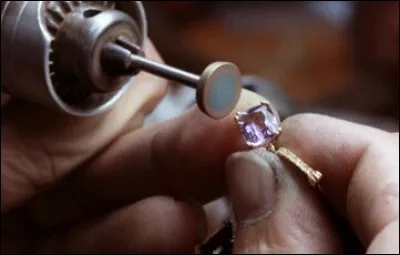 Le polisseur et le sertisseur font partie de quelle branche ?