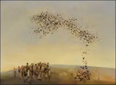 Vous connaissez l'expression ''sous d'heureux auspices'' . Que sont les auspices ?