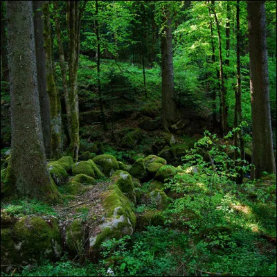 A un moment donné, des personnages se cachent.. Cela se passe dans ....