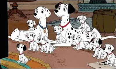 Reconnaissez-vous la race de chien présente sur cette image ?