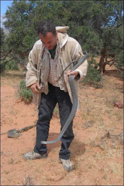 Déroulez vos anneaux et dénichez le continent !