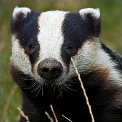 J'espère que vous ne trouverez pas la réponse trop "rasoir" !