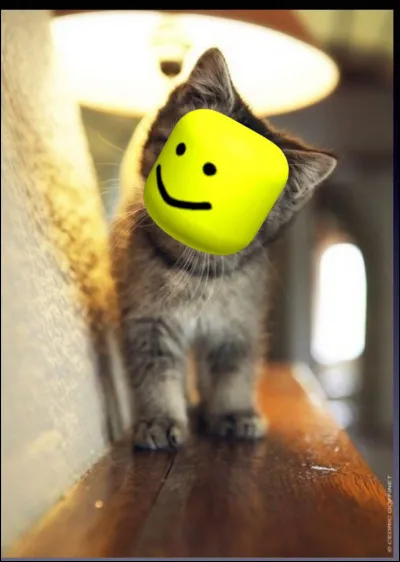 Et pour finir, quel est cet animal ?