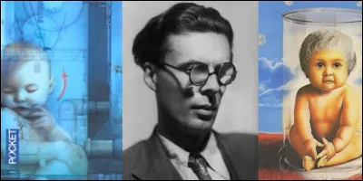 Dans cet univers, on peut constater l'existence de cinq castes (deux castes supérieures et trois castes inférieures). En plus, ces castes sont partagées en deux sous-castes, les plus et les moins. N'oublions pas l'existence des « sauvages » dans leurs réserves !
Quels sont cette uvre (en version originale) et son auteur ?