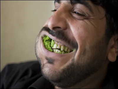 D'où est originaire le qat, arbrisseau dont les feuilles sont stimulantes et euphorisantes ?