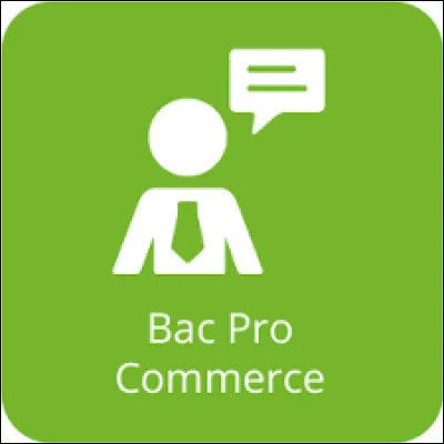 Pourquoi utiliser Mindview en Bac Pro Commerce ?