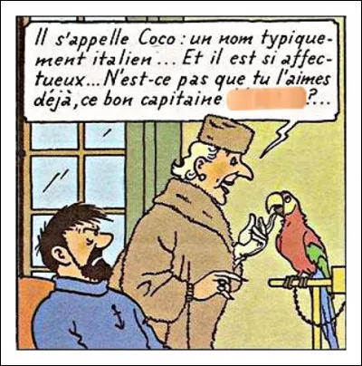 Et le calvaire continu... En plus d'un perroquet, le voici gratifié d'un "capitaine ... " des plus élégants ! N'est-ce pas ?
