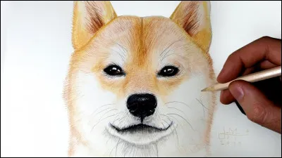 "Chien de flic" est le titre d'un film joué par John Belushi.