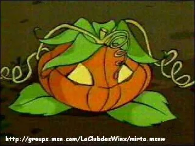 Qui va tre change en citrouille ?