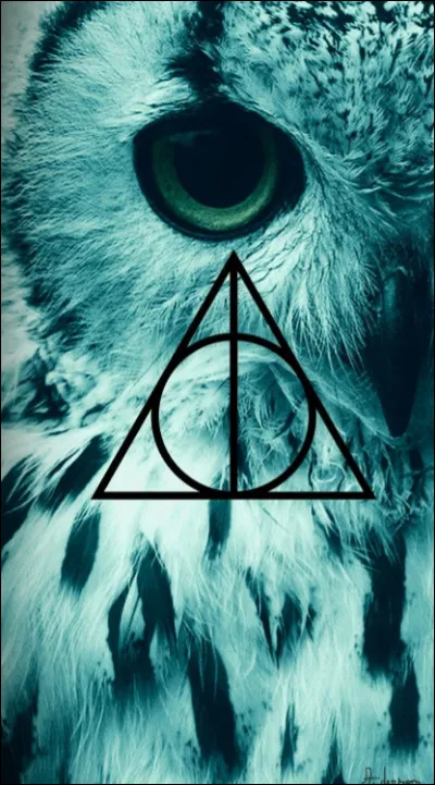 Quelles sont les trois reliques de la mort ?