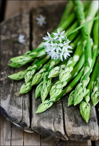 Quelle appellation est donnée à une sauce ou un potage dont ce légume est la base ?