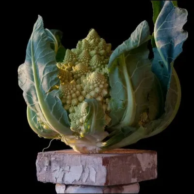Quel est ce légume semblable à une uvre d'art ?