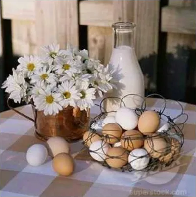 Est-il préférable ou non de laver les oeufs après leur ramassage ?