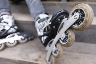 Branche d'arbre, c'est la...