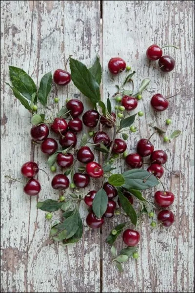 Sur lequel de ces gâteaux, les cerises sont-elle indispensables ?