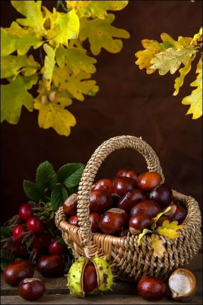 Quel département est considérée comme le pays de la châtaigne ?