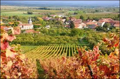 Derrière les vignes, vous avez Billy-sous-les-Côtes. Ancienne commune Meusienne, elle se situe en région ...