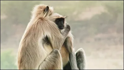 Pour finir, as-tu trouvé ton domaine ? Si non, tu le trouveras parmi ceux-ci.