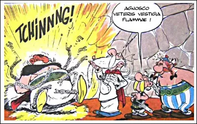 Certes, il est parfois besoin de quelque magie... Mais que constate Astérix ?