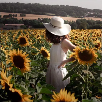 Maintenant, dis-moi quel est ton jour de naissance ? S'il dépasse 9, additionne les deux chiffres jusqu'à obtenir un chiffre compris entre 1 et 9. Qu'obtiens-tu ?