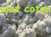 Quiz Quizz ''coton''