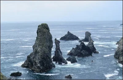 Sur quelle île du Morbihan sont situées les aiguilles de Port-Coton ?