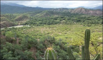 On a trouvé des fragments de coton datant d'il y a environ 7 000 ans dans des grottes de la vallée du Tehuacán. Dans quel pays se trouve cette vallée ?