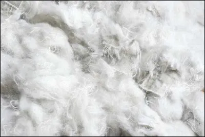 De quoi est constituée la fibre de coton ?
