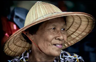 Dans quel pays le coton est-il une plante utilisée en médecine traditionnelle ?