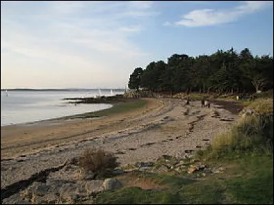 Quel est le nom de la pointe qui sépare le golfe du Morbihan de l'anse de Mancel ?