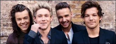 Un peu plus tard, quel autre groupe a-t-il fond&eacute; ?