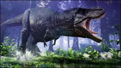 Combien mesurait une dent de tyrannosaure ?