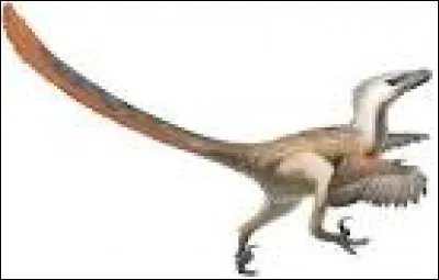 Le vélociraptor était couvert...