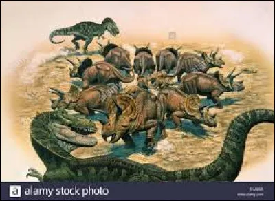 Quelle était la principale caractéristiques du tricératops ?