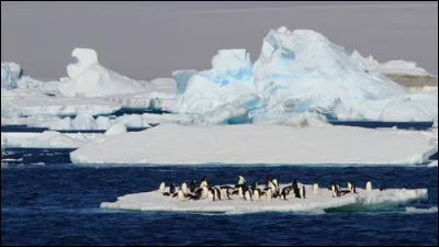 Quel est l'autre nom de l'océan Antarctique ?