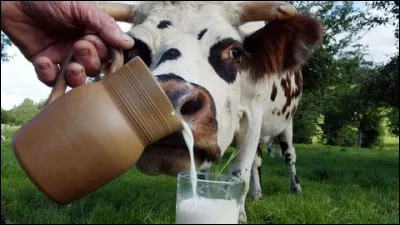 Combien de litres de lait donnent-elles par jour ?