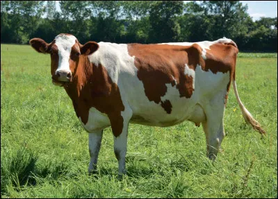 Et elle, quel est son nom ?