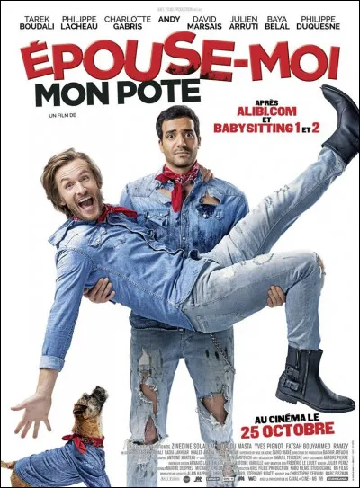 Qui a réalisé le film "Épouse-moi mon pote", sorti en 2017 ?