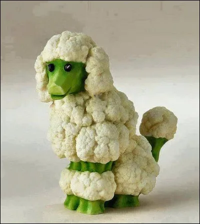 Quel légume a servi à créer cet adorable caniche ?