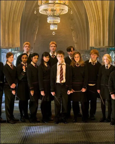 Comment se nomme l'assemblée créée par Harry, Ron et Hermione ?