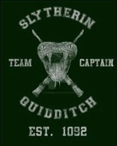 Comment se nomme le capitaine de l'équipe de quidditch de Serpentard ?