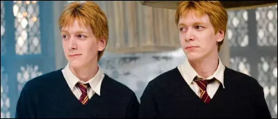 Combien de B.U.S.E chacun ont obtenues les jumeaux Weasley ?