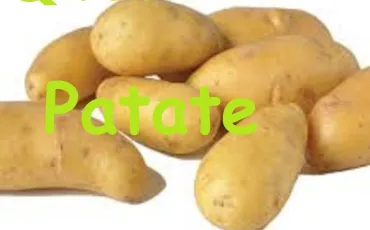 Quiz Monde entier
