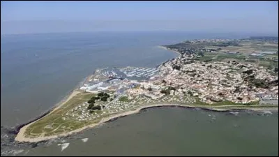Quelle pomme de terre est cultivée sur l'île de Noirmoutier ?