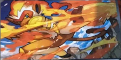 Quel est ce Pok&eacute;mon ?