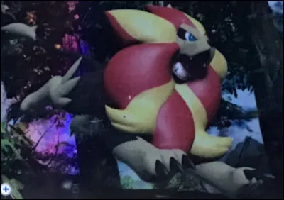 Quel est ce Pok&eacute;mon ?