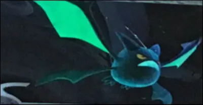 Quel est ce Pok&eacute;mon ?