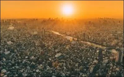 La plus grande ville du monde s'étale sur 6 340,5 kilomètres carrés. Quel est son nom ?